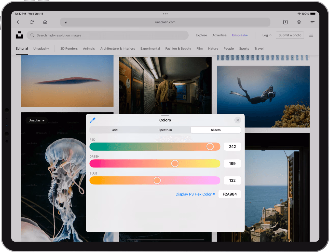Gear Browser productivity controls on iPad